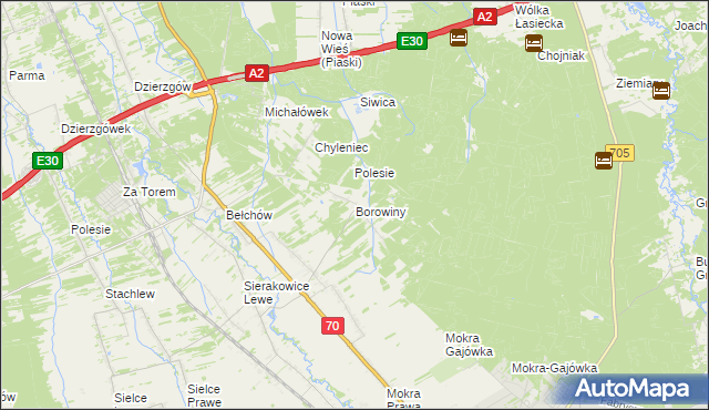 mapa Borowiny gmina Skierniewice, Borowiny gmina Skierniewice na mapie Targeo