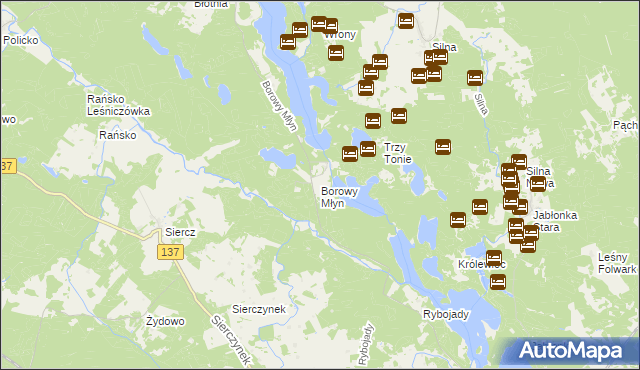 mapa Borowy Młyn gmina Pszczew, Borowy Młyn gmina Pszczew na mapie Targeo