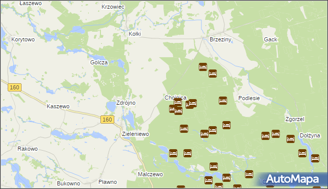 mapa Chojnica gmina Bierzwnik, Chojnica gmina Bierzwnik na mapie Targeo