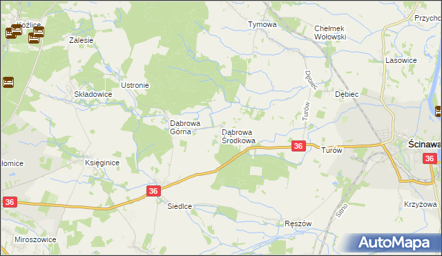 mapa Dąbrowa Środkowa, Dąbrowa Środkowa na mapie Targeo