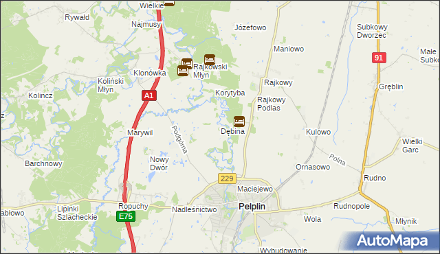 mapa Dębina gmina Pelplin, Dębina gmina Pelplin na mapie Targeo