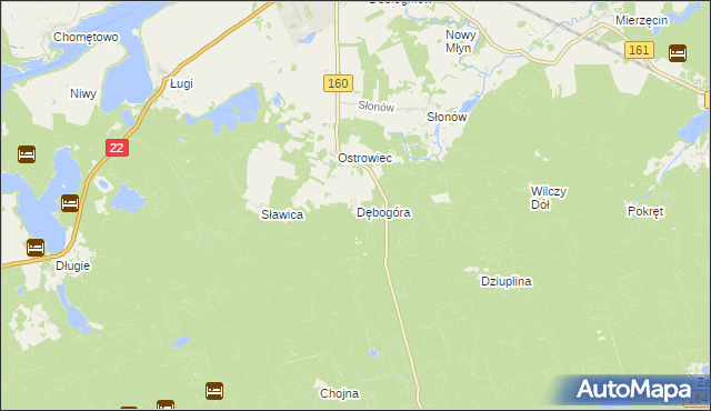 mapa Dębogóra gmina Dobiegniew, Dębogóra gmina Dobiegniew na mapie Targeo
