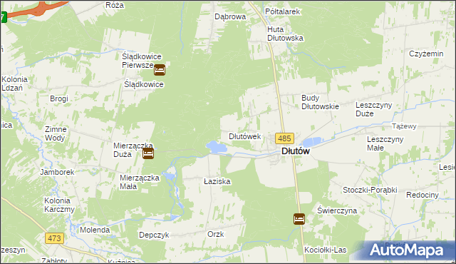 mapa Dłutówek, Dłutówek na mapie Targeo