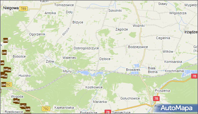 mapa Dzibice, Dzibice na mapie Targeo