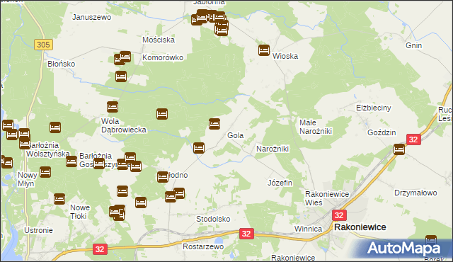 mapa Gola gmina Rakoniewice, Gola gmina Rakoniewice na mapie Targeo