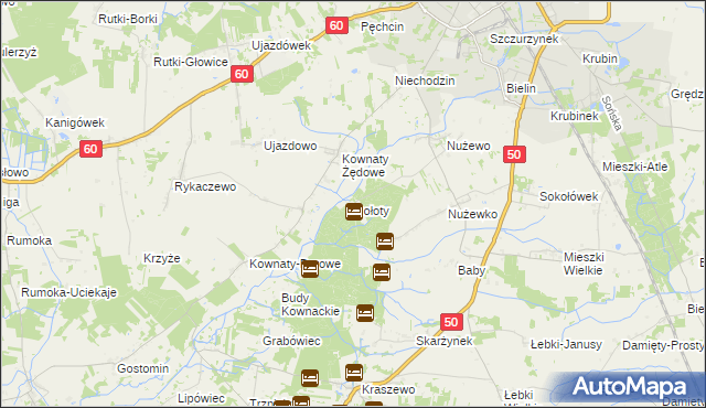 mapa Gołoty gmina Ciechanów, Gołoty gmina Ciechanów na mapie Targeo