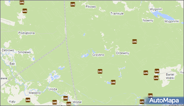 mapa Grzybno gmina Stara Kiszewa, Grzybno gmina Stara Kiszewa na mapie Targeo