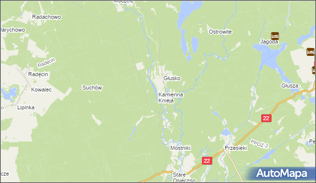 mapa Kamienna Knieja, Kamienna Knieja na mapie Targeo