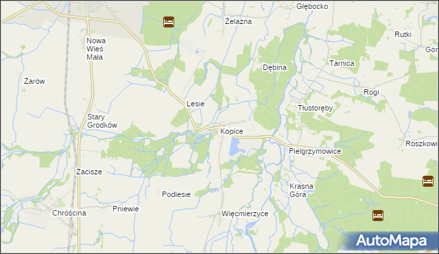 mapa Kopice gmina Grodków, Kopice gmina Grodków na mapie Targeo