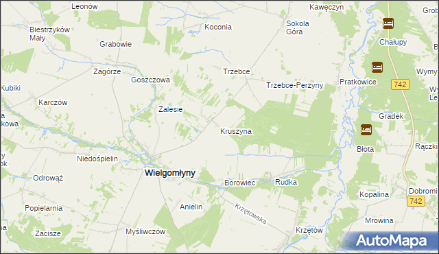mapa Kruszyna gmina Wielgomłyny, Kruszyna gmina Wielgomłyny na mapie Targeo