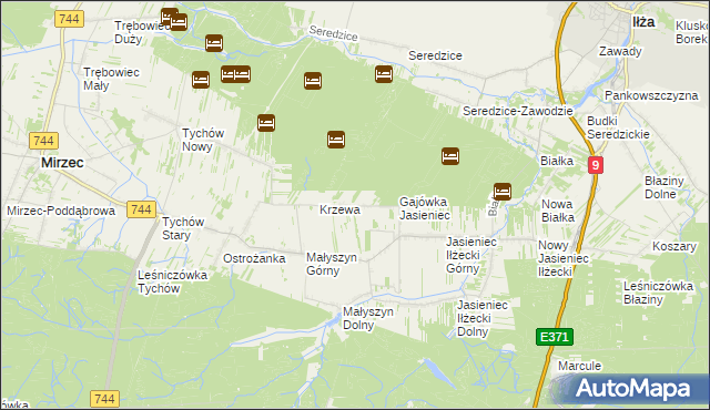 mapa Krzewa gmina Mirzec, Krzewa gmina Mirzec na mapie Targeo