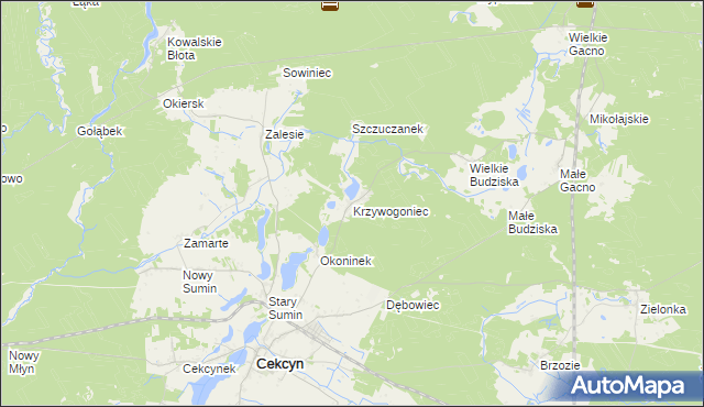 mapa Krzywogoniec, Krzywogoniec na mapie Targeo