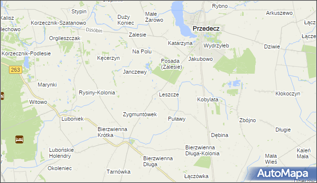 mapa Leszcze gmina Kłodawa, Leszcze gmina Kłodawa na mapie Targeo