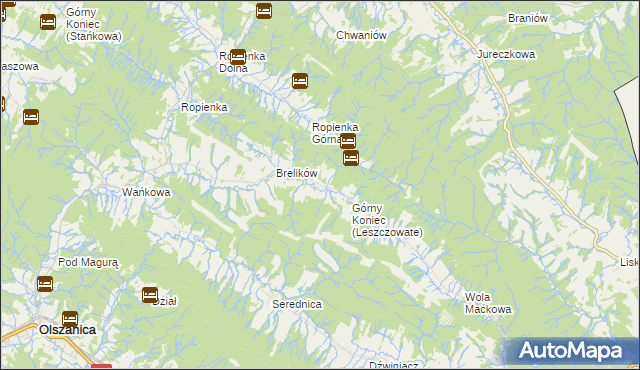 mapa Leszczowate, Leszczowate na mapie Targeo