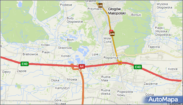 mapa Lipie gmina Głogów Małopolski, Lipie gmina Głogów Małopolski na mapie Targeo