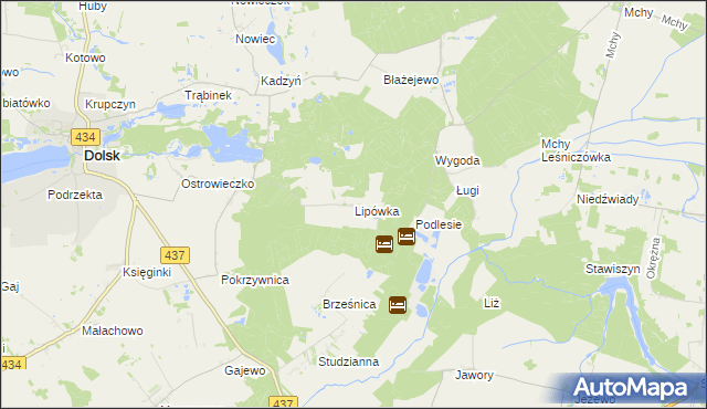 mapa Lipówka gmina Dolsk, Lipówka gmina Dolsk na mapie Targeo