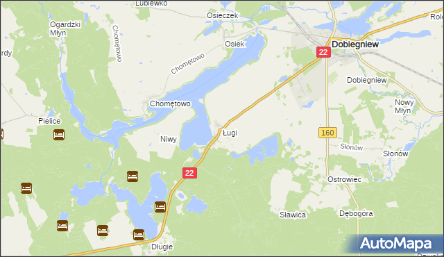 mapa Ługi gmina Dobiegniew, Ługi gmina Dobiegniew na mapie Targeo