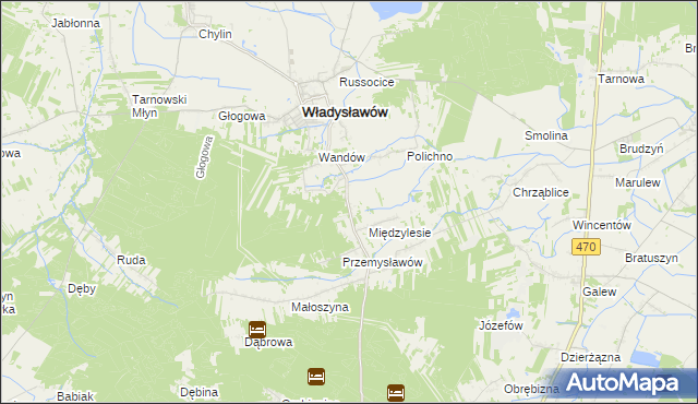 mapa Mariantów gmina Władysławów, Mariantów gmina Władysławów na mapie Targeo