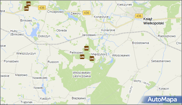 mapa Międzybórz gmina Książ Wielkopolski, Międzybórz gmina Książ Wielkopolski na mapie Targeo