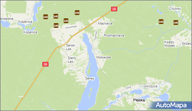 mapa Mołowiste, Mołowiste na mapie Targeo