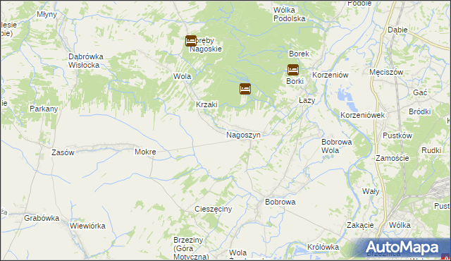 mapa Nagoszyn, Nagoszyn na mapie Targeo