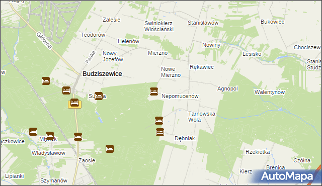 mapa Nepomucenów gmina Budziszewice, Nepomucenów gmina Budziszewice na mapie Targeo