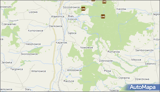 mapa Nowolesie, Nowolesie na mapie Targeo