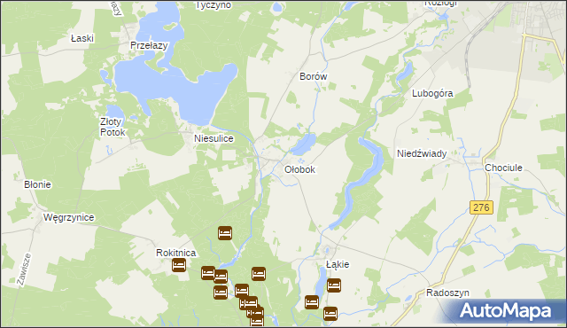 mapa Ołobok gmina Skąpe, Ołobok gmina Skąpe na mapie Targeo