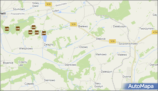 mapa Osowo gmina Gostyń, Osowo gmina Gostyń na mapie Targeo