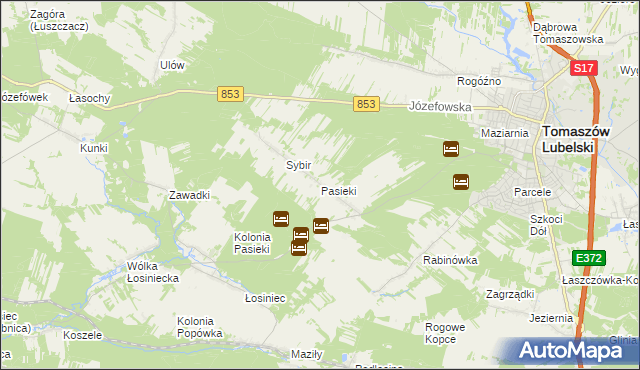 mapa Pasieki gmina Tomaszów Lubelski, Pasieki gmina Tomaszów Lubelski na mapie Targeo