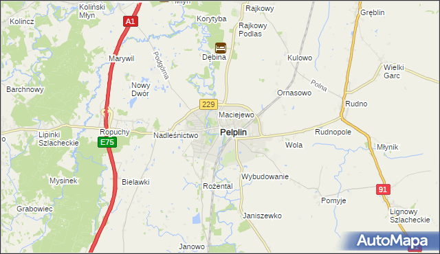 mapa Pelplin, Pelplin na mapie Targeo