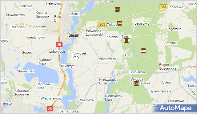 mapa Piotrkowice gmina Ślesin, Piotrkowice gmina Ślesin na mapie Targeo