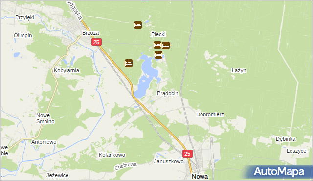 mapa Prądocin gmina Nowa Wieś Wielka, Prądocin gmina Nowa Wieś Wielka na mapie Targeo