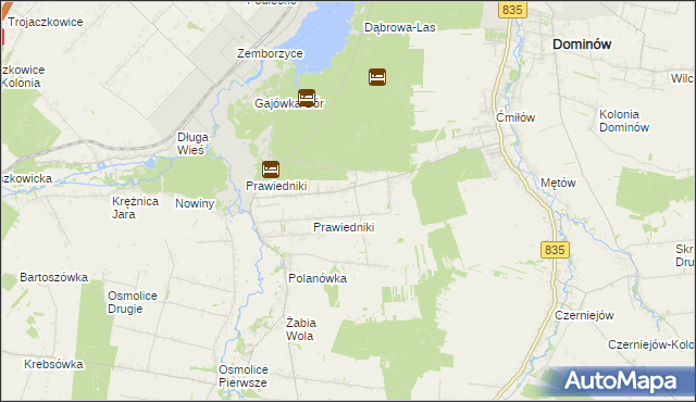 mapa Prawiedniki-Kolonia, Prawiedniki-Kolonia na mapie Targeo