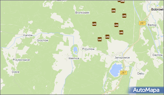 mapa Przychów, Przychów na mapie Targeo