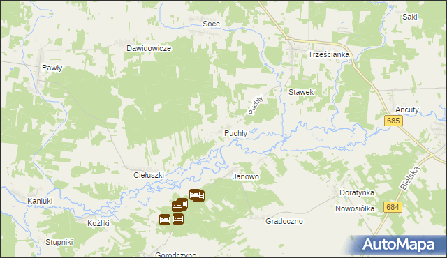 mapa Puchły, Puchły na mapie Targeo