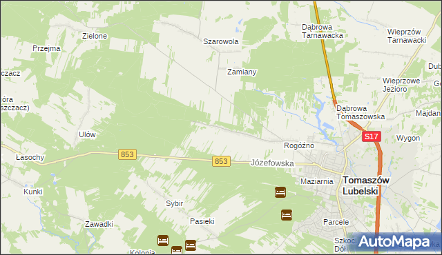 mapa Rogóźno-Kolonia, Rogóźno-Kolonia na mapie Targeo