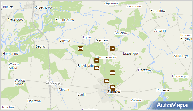 mapa Rozmarynów, Rozmarynów na mapie Targeo
