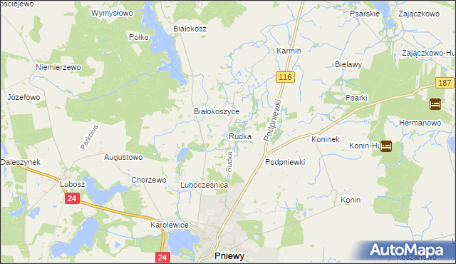 mapa Rudka gmina Pniewy, Rudka gmina Pniewy na mapie Targeo