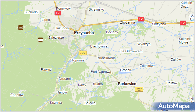 mapa Ruszkowice gmina Borkowice, Ruszkowice gmina Borkowice na mapie Targeo