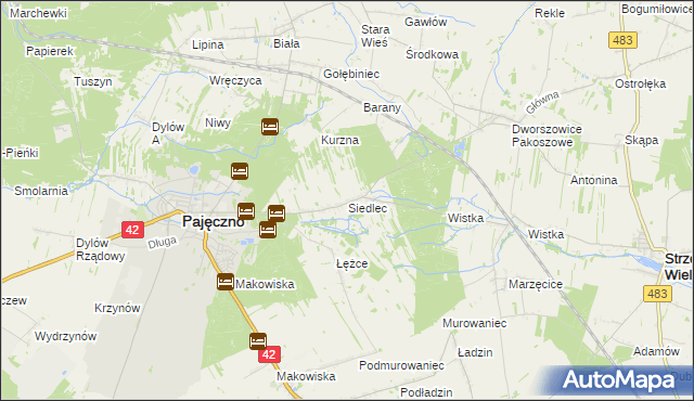 mapa Siedlec gmina Pajęczno, Siedlec gmina Pajęczno na mapie Targeo