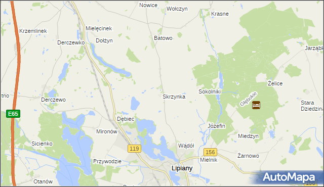 mapa Skrzynka gmina Lipiany, Skrzynka gmina Lipiany na mapie Targeo