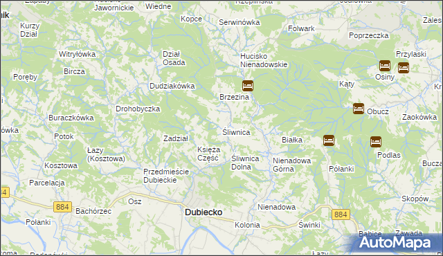 mapa Śliwnica gmina Dubiecko, Śliwnica gmina Dubiecko na mapie Targeo