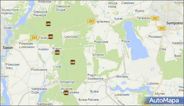 mapa Smolniki gmina Ślesin, Smolniki gmina Ślesin na mapie Targeo