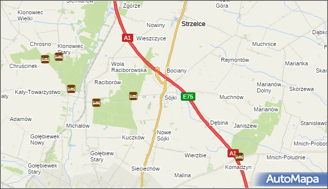 mapa Sójki gmina Strzelce, Sójki gmina Strzelce na mapie Targeo