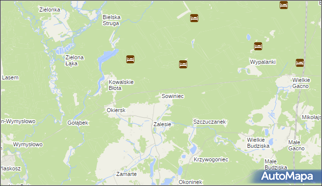 mapa Sowiniec gmina Cekcyn, Sowiniec gmina Cekcyn na mapie Targeo
