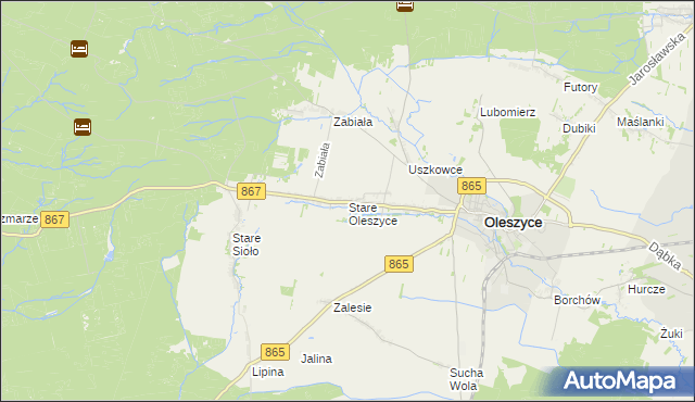 mapa Stare Oleszyce, Stare Oleszyce na mapie Targeo