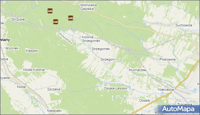 mapa Strzegom gmina Rytwiany, Strzegom gmina Rytwiany na mapie Targeo