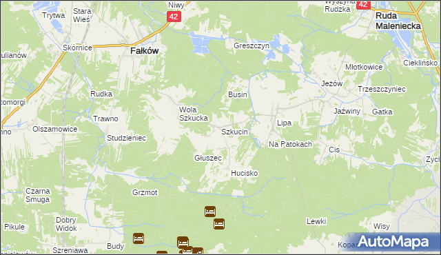 mapa Szkucin, Szkucin na mapie Targeo