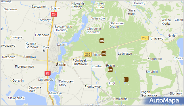 mapa Tokary gmina Ślesin, Tokary gmina Ślesin na mapie Targeo